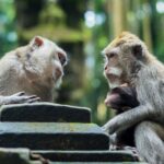 RIZAP ENGLISHで本格的に英語スキルを身に付ける！