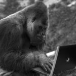 未経験から副業・起業へ！AI活用力を高める実践型スクール【僕のAIアカデミー】